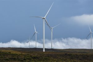 0212de8c7920171189e8aee1d544ee96