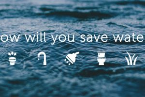 d935ae71802233321e99f4ced9539a38