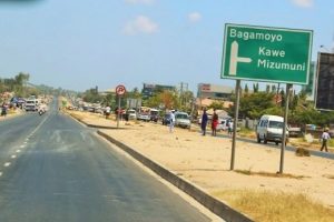 6b51c5a6a5e883a6e0f8ce6427599e4a