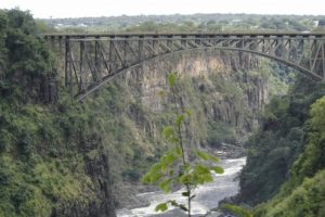 3d06202ca10155905cb09e769040824c