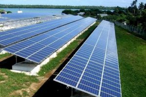 8c6981860c9506c411d67416b279c5bb