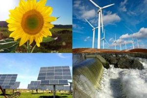 d9884303ff1f7f922e50e433e24f35d9