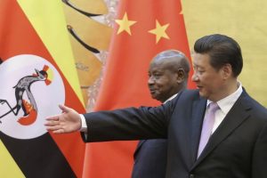 b31a1e0cb6278e5bc3b5270b10883131