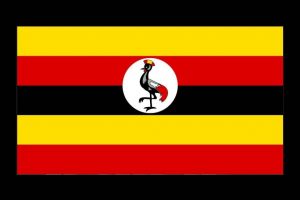 d5b612e1b22c50b28c4d19a0857f7137