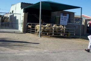 ea6b2416c1fe2a0d0814e9e046e89e0a