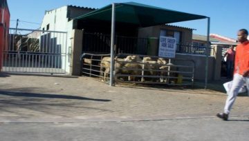 ea6b2416c1fe2a0d0814e9e046e89e0a