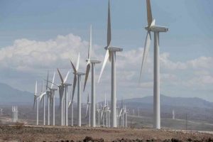 aa2f44b9125879c95e611a995a695530