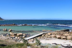 99ac4e023741cb6ee738e271a5de25ab