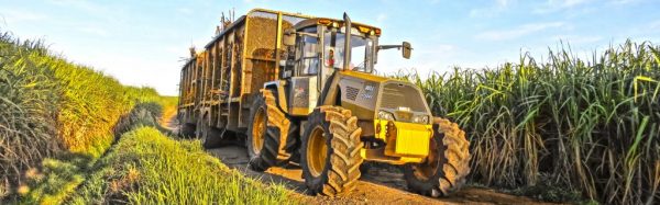 249e3552187a7446acf91101f0e3ac95