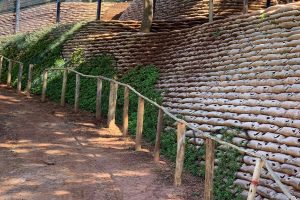 Green solution used for retaining walls