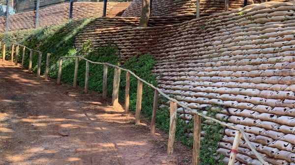 Green solution used for retaining walls