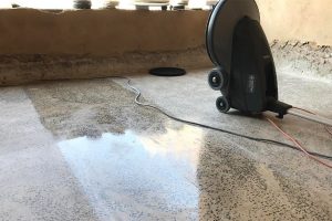 0000790378_resized_flooringindustrydiamondproducts290320191022