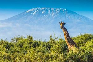 TANZANIA PLANS CABLE CAR FOR MOUNT KILIMANJARO