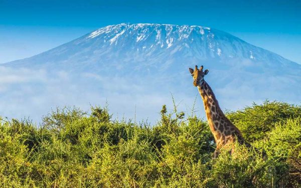 TANZANIA PLANS CABLE CAR FOR MOUNT KILIMANJARO TANZANIA PLANS CABLE CAR FOR MOUNT KILIMANJARO