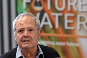 GREEN CITIES OR CONCRETE JUNGLES