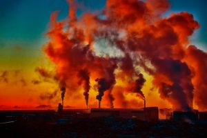 Photo by Sam Bark on Unsplash