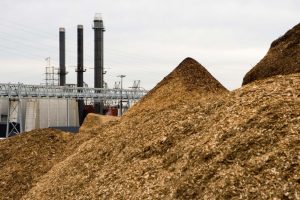 ETHIOPIAN CEMENT PLANTS ENCOURAGED TO TURN TO BIOMASS