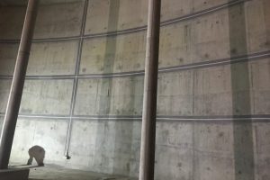 Kempton Park reservoir (1)