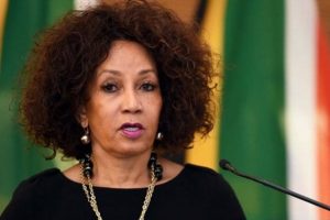 SISULU SETS SIGHTS ON EXPROPRIATED LAND FOR HOUSING DEVELOPMENTS