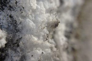 Sanika Insoluble crystal growth in concrete (1)