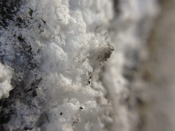 Sanika Insoluble crystal growth in concrete (1) Sanika Insoluble crystal growth in concrete (1)