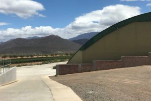 NO SOUR GRAPES FOR SIKA AT GRAHAM BECK WINE ESTATE