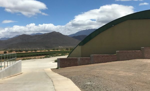 NO SOUR GRAPES FOR SIKA AT GRAHAM BECK WINE ESTATE NO SOUR GRAPES FOR SIKA AT GRAHAM BECK WINE ESTATE