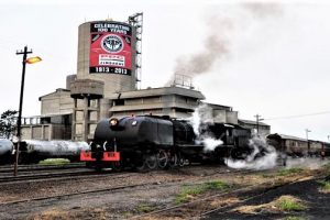 PPC CEMENT SALES IN ZIMBABWE DOWN 25%