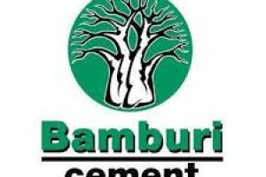 BAMBURI TO INCREASE BIOMASS ENERGY USE TO CUT PRODUCTION COSTS