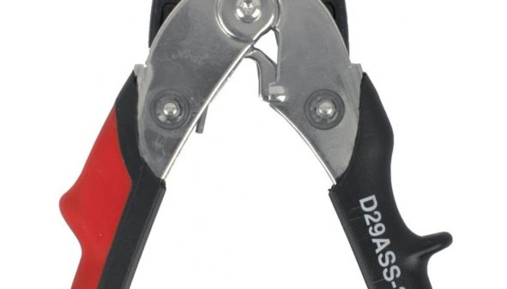 BS D29ASS-2