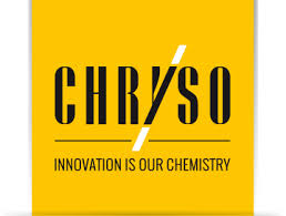 Chryso logo