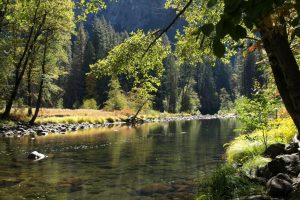 dan-a-cardoza-HajKgPqPWPA-unsplash