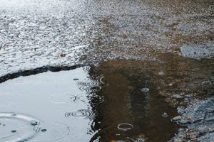 matt-hoffman--OOiAy2lBZc-unsplash