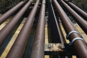 Untitled design - 2022-08-02T110209.010