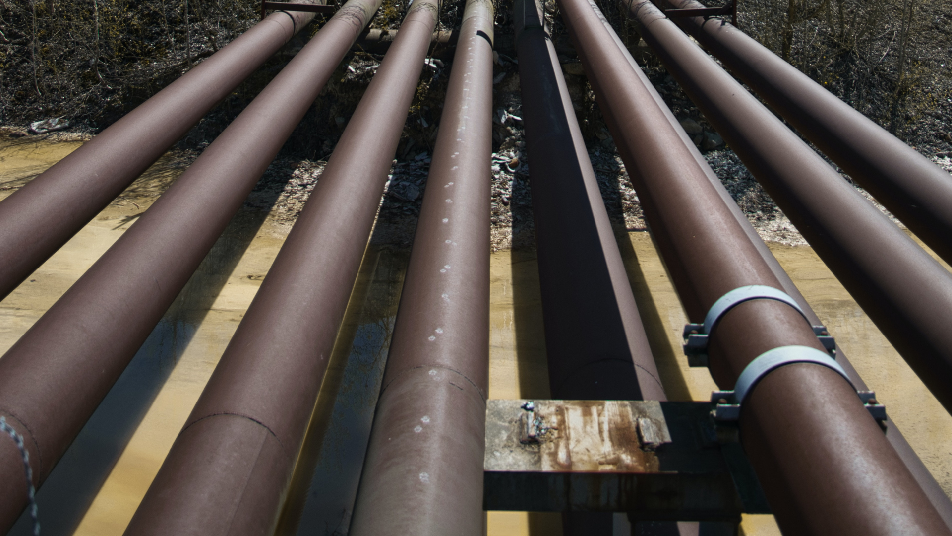 Untitled design - 2022-08-02T110209.010