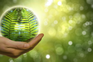 Untitled design - 2022-08-19T084645.404