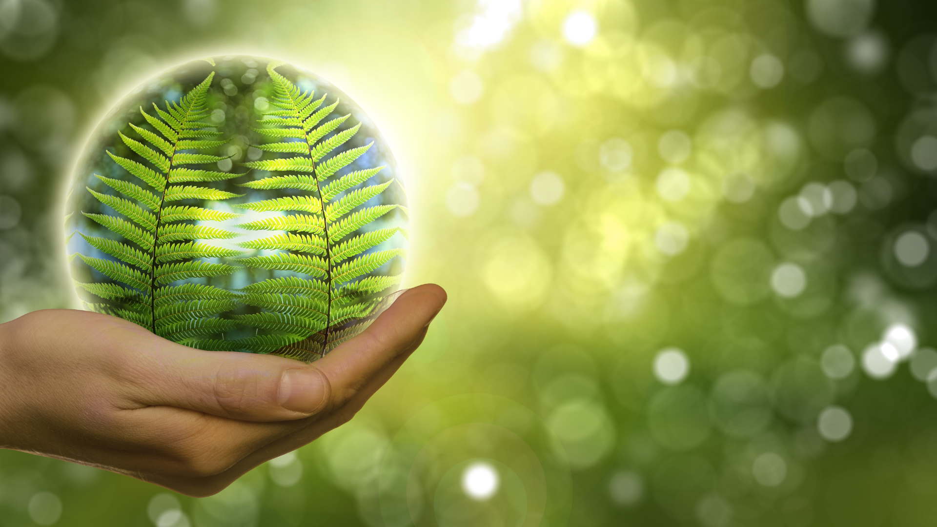 Untitled design - 2022-08-19T084645.404