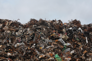 Untitled design - 2022-08-19T092941.453