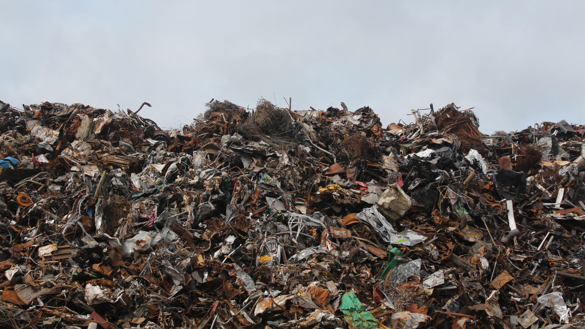 Untitled design - 2022-08-19T092941.453