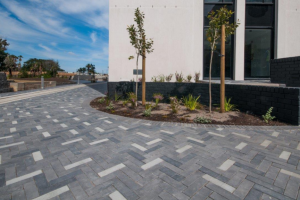 Untitled design - 2022-08-31T094854.828