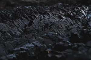 Untitled design (39)