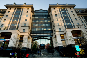 Untitled design (46)