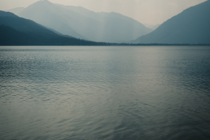 Untitled design (58)