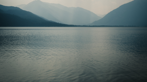 Untitled design (58)