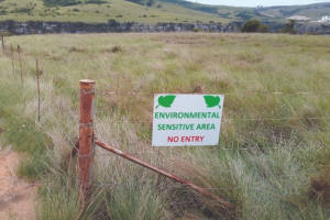 Untitled design (64)