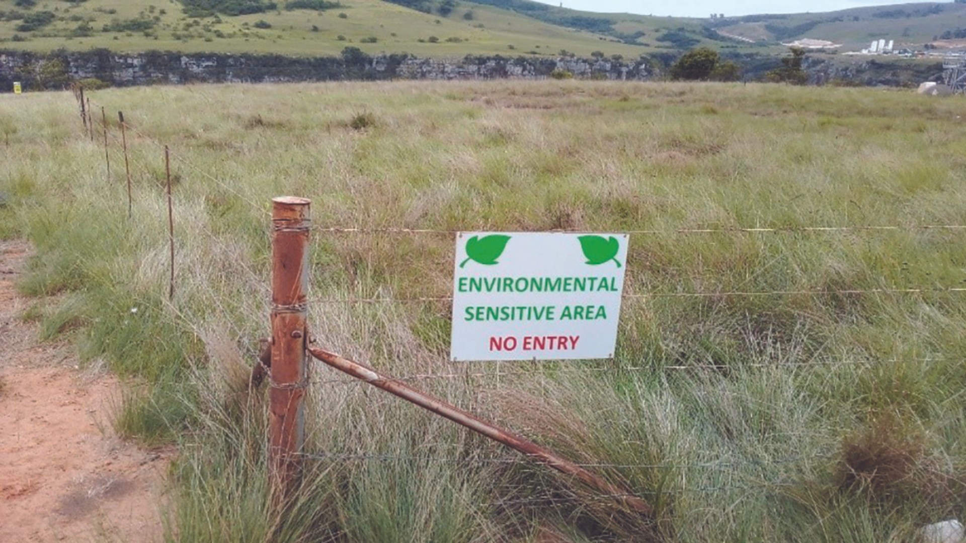 Untitled design (64)