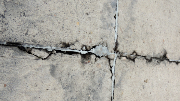 Untitled design (74)