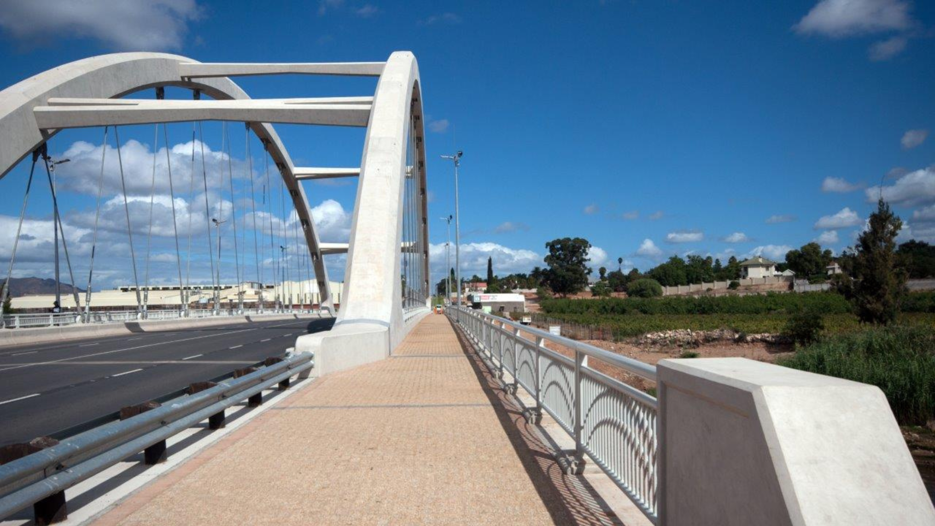 Untitled design (79)