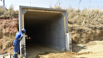 Untitled design (90)