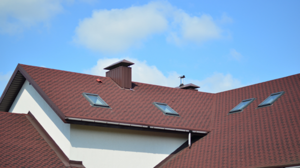 Untitled design (91)